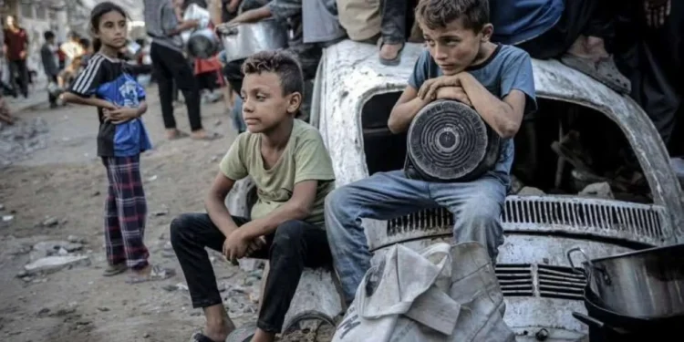 أرقام صادمة.. تقرير حقوقي يكشف خطورة سوء التغذية على أطفال غزة