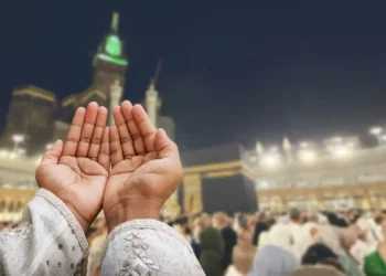 الحج 2026.. أفضل أطعمة للحجاج لتعزيز الطاقة والمناعة