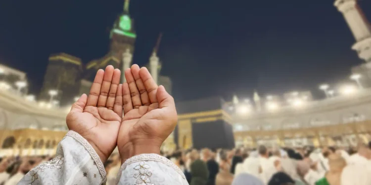 الحج 2026.. أفضل أطعمة للحجاج لتعزيز الطاقة والمناعة