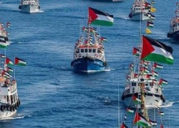 شهادات موثقة.. تقرير دولي يفضح جرائم الاحتلال ضد نشطاء أسطول الصمود