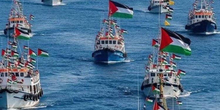 شهادات موثقة.. تقرير دولي يفضح جرائم الاحتلال ضد نشطاء أسطول الصمود