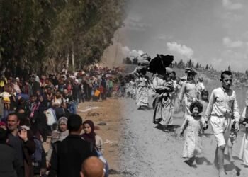 في ذكرى النكبة الـ 78.. أرقام صادمة تكشف حجم معاناة الفلسطينيين