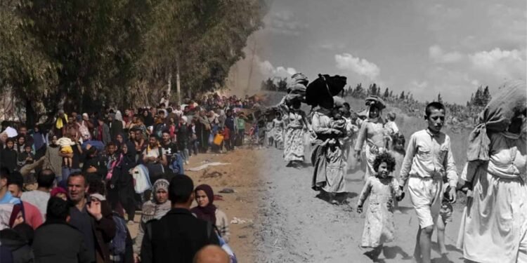 في ذكرى النكبة الـ 78.. أرقام صادمة تكشف حجم معاناة الفلسطينيين