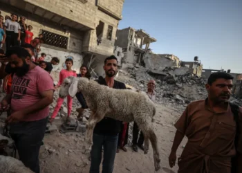 حصار ومجاعة.. سكان غزة يكشفون أسباب حرمانهم من الأضاحي