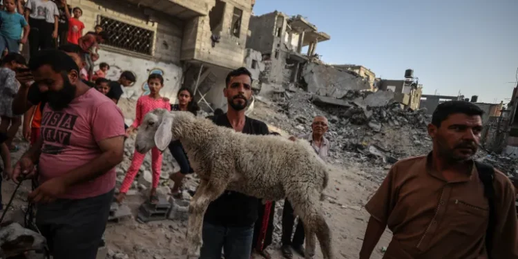 حصار ومجاعة.. سكان غزة يكشفون أسباب حرمانهم من الأضاحي