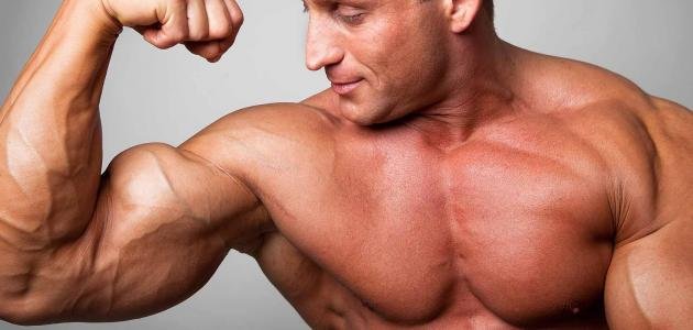 10 طرق لزيادة هرمون التستوستيرون طبيعيا