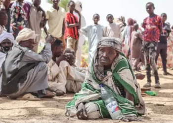 تحذيرات من كارثة إنسانية جديدة في السودان مع تصاعد القتال في كردفان