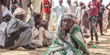 تحذيرات من كارثة إنسانية جديدة في السودان مع تصاعد القتال في كردفان