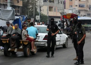 تقرير عبري: تسليح المليشيات في غزة قد ينقلب على الاحتلال
