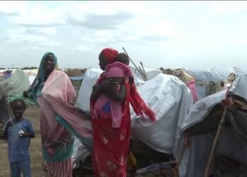السودان.. تحرك أممي عاجل ضد انتهاكات كردفان