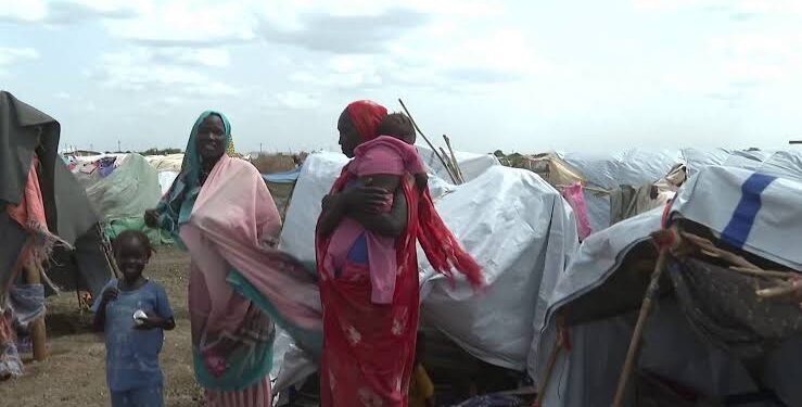 السودان.. تحرك أممي عاجل ضد انتهاكات كردفان